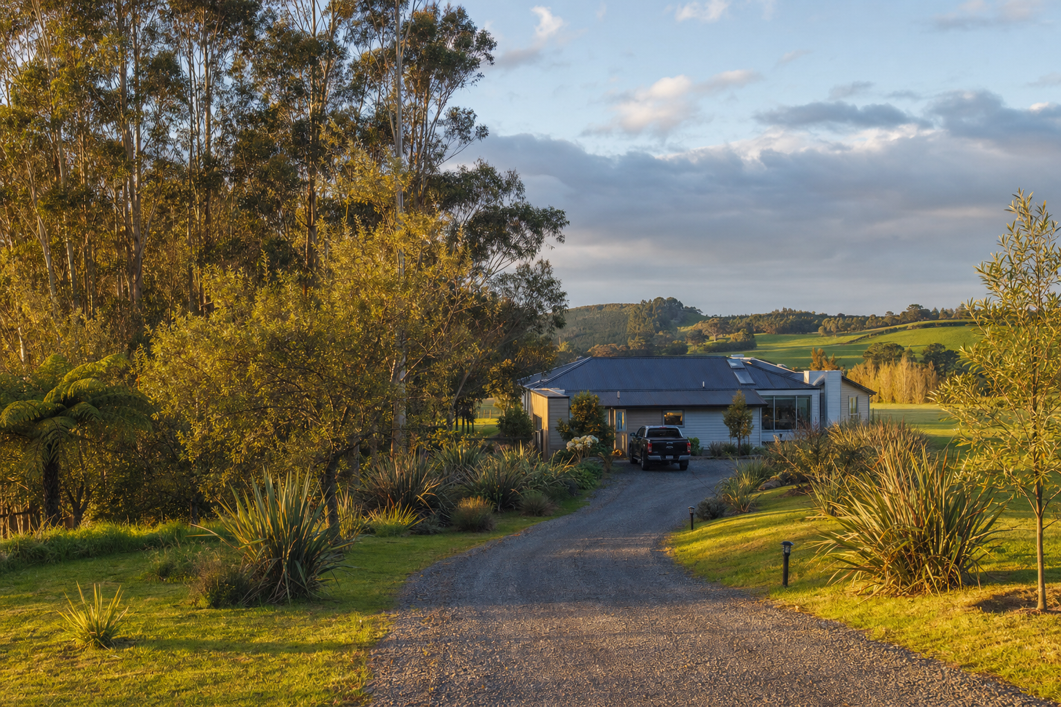 Tauwhare lifestyle block with a long native planting along a boundary stream, mature macrocarpa shelter belt in the distance